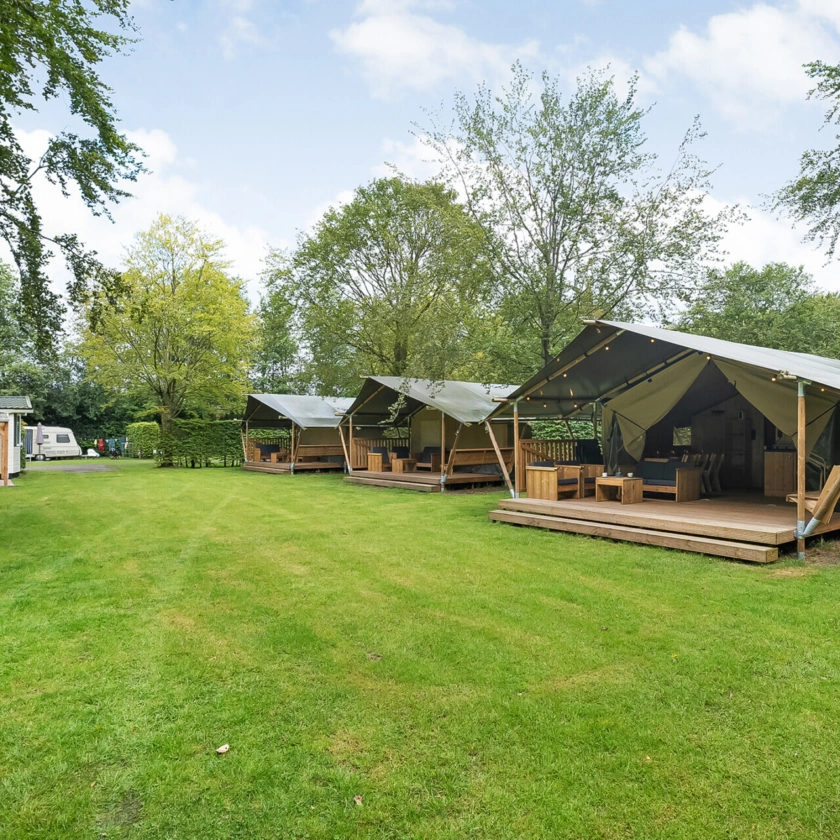 Camping Beukenbos — photo 7