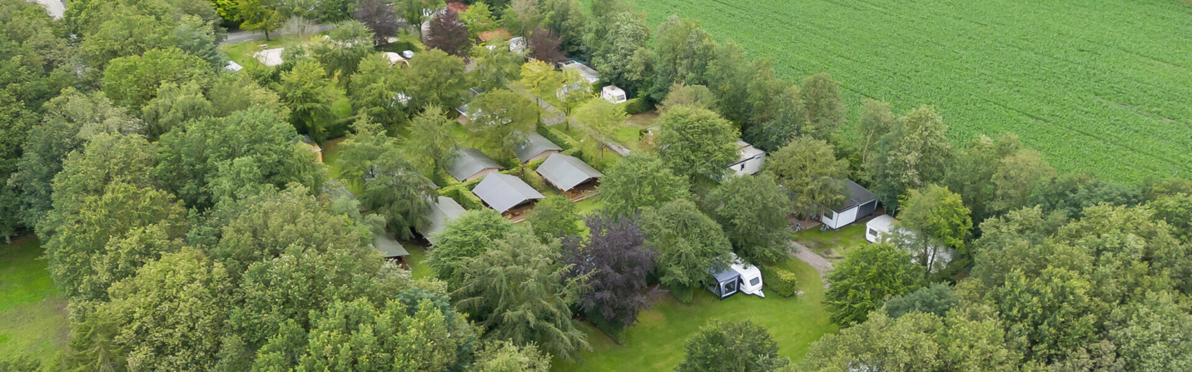 Camping Beukenbos — photo 2